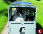 Van Cheval Touring One – 1.5 PL – Image 4