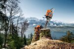 Tronçonneuse thermique STIHL MS 661 C-M 50 à 80cm – Image 3