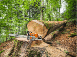 Tronçonneuse thermique STIHL MS 881 – Image 3